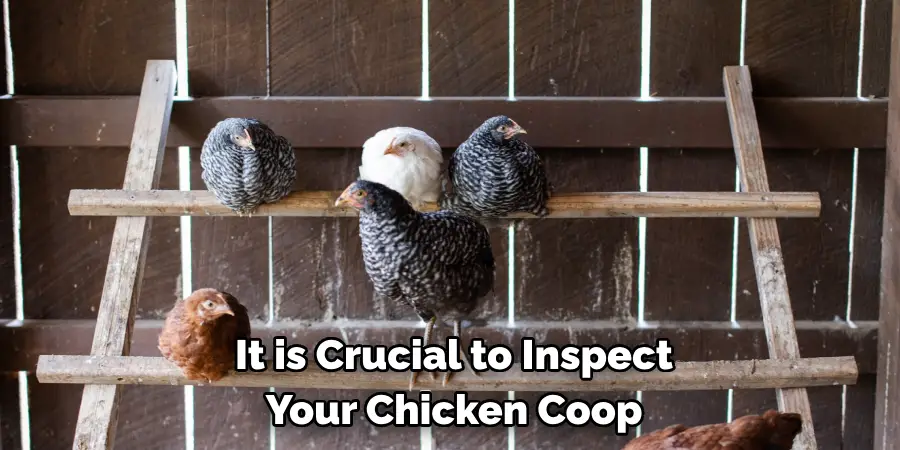 It is Crucial to Inspect Your Chicken Coop