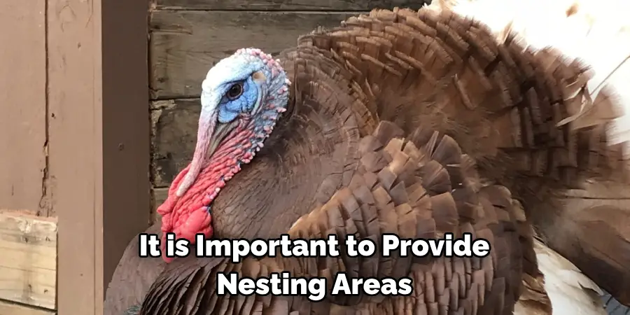 It is Important to Provide Nesting Areas for Female Turkeys