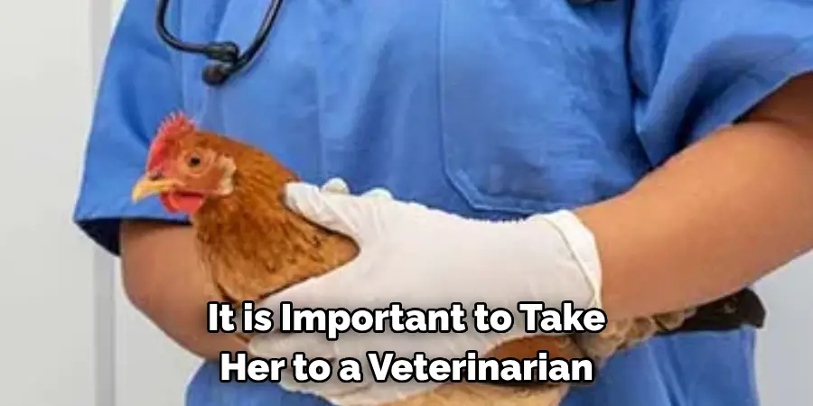 It is Important to Take Her to a Veterinarian