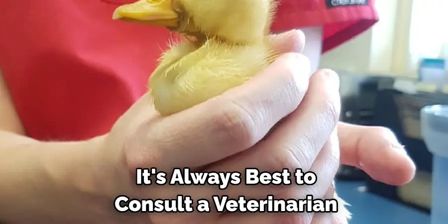 It's Always Best to Consult a Veterinarian