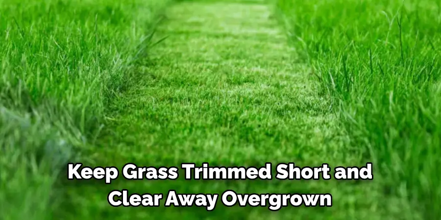Keep Grass Trimmed Short and Clear Away Overgrown