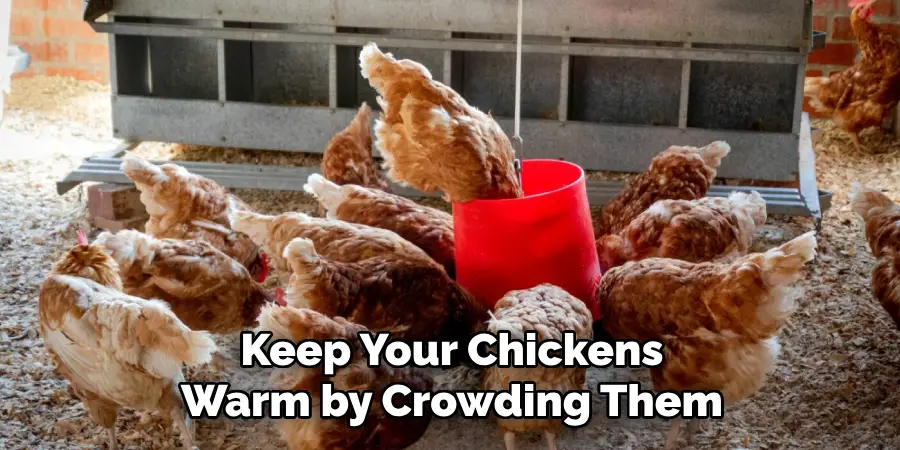 Keep Your Chickens Warm by Crowding Them