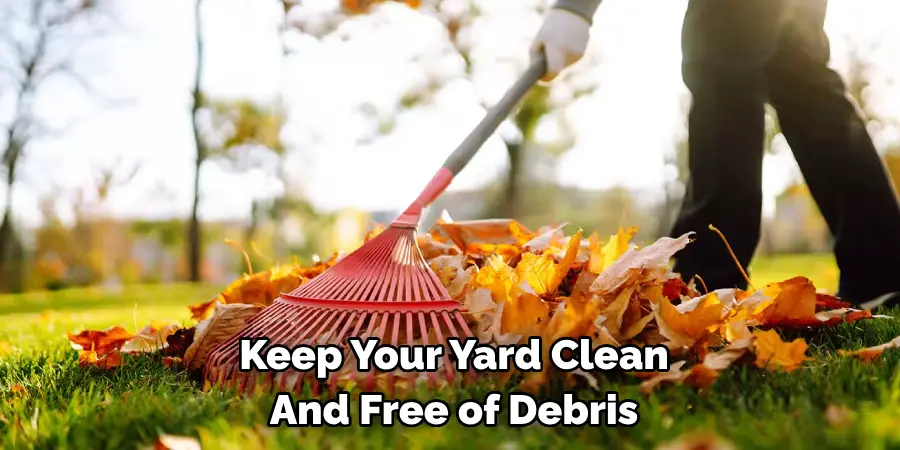 Keep Your Yard Clean And Free of Debris