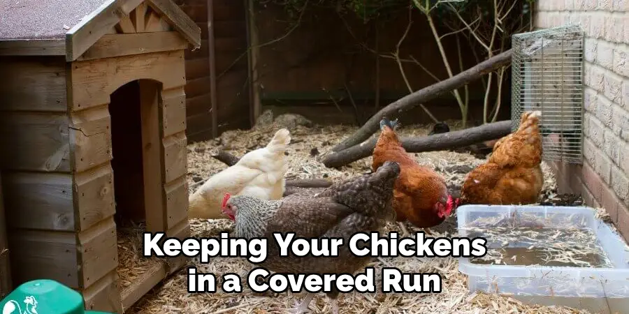 Keeping Your Chickens in a Covered Run