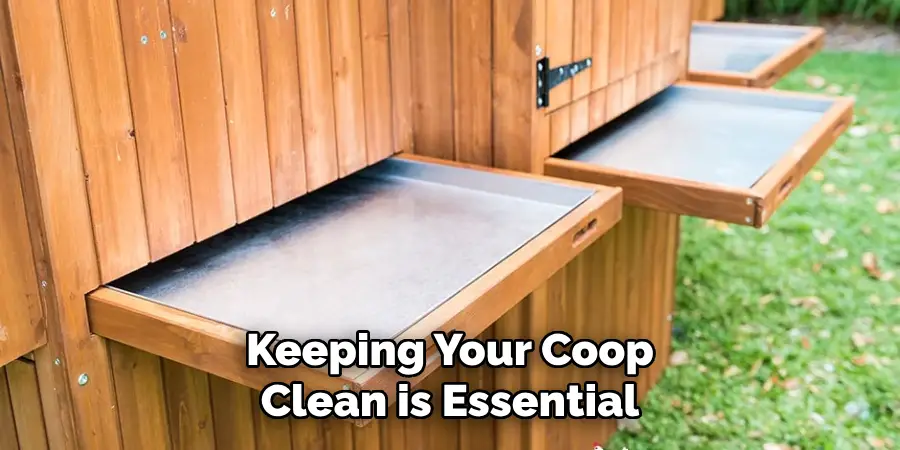 Keeping Your Coop Clean is Essential