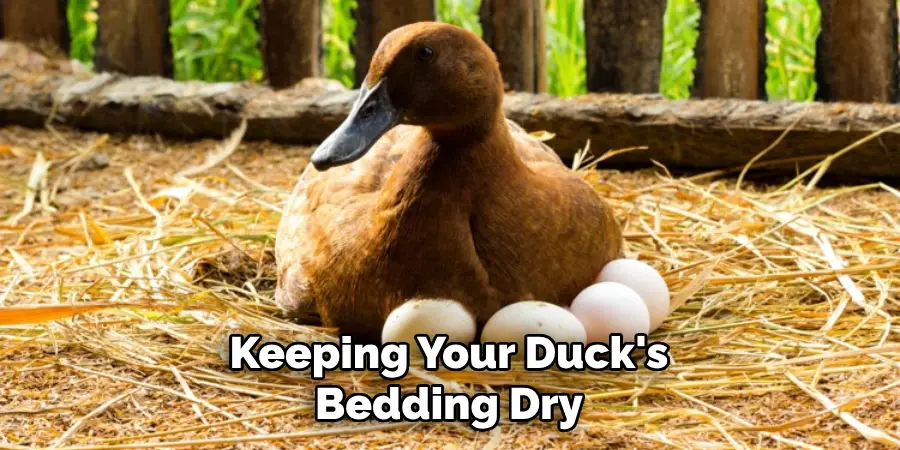Keeping Your Duck's Bedding Dry