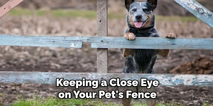 Keeping a Close Eye on Your Pet's Fence