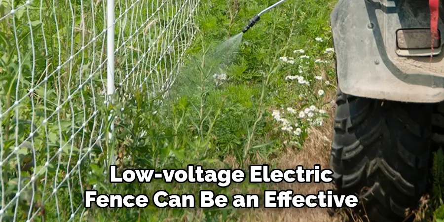 Low-voltage Electric Fence Can Be an Effective