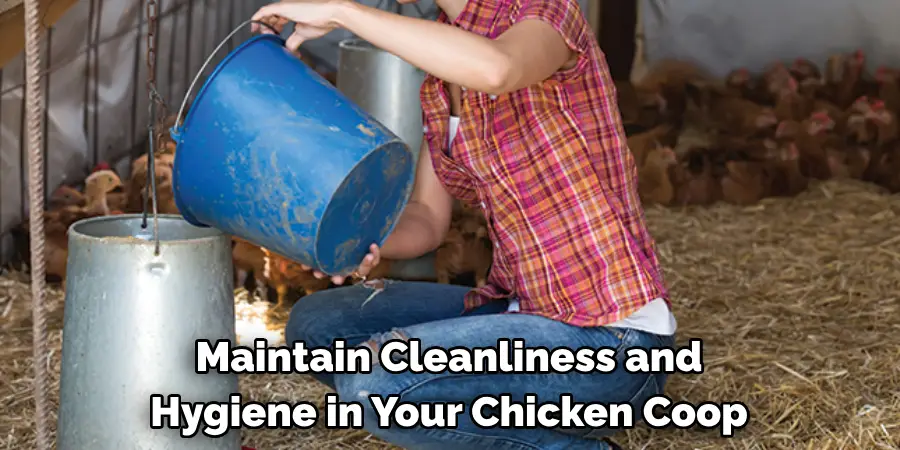 Maintain Cleanliness and Hygiene in Your Chicken Coop