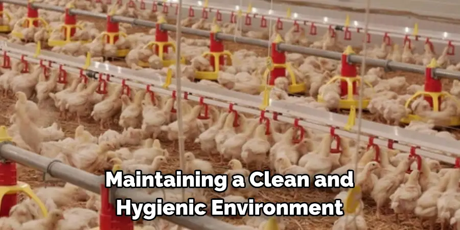Maintaining a Clean and Hygienic Environment