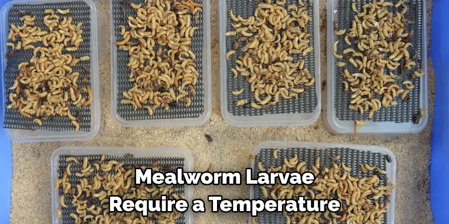Mealworm Larvae Require a Temperature