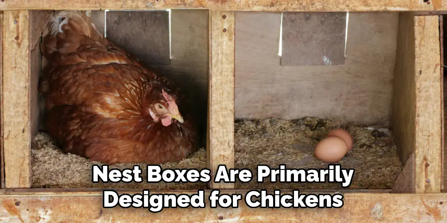 Nest Boxes Are Primarily Designed for Chickens