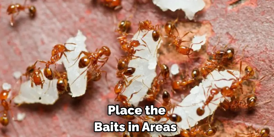 Place the Baits in Areas
