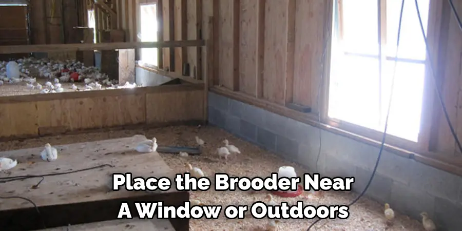 Place the Brooder Near A Window or Outdoors