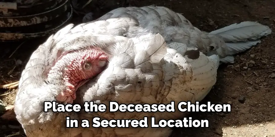 Place the Deceased Chicken in a Secured Location