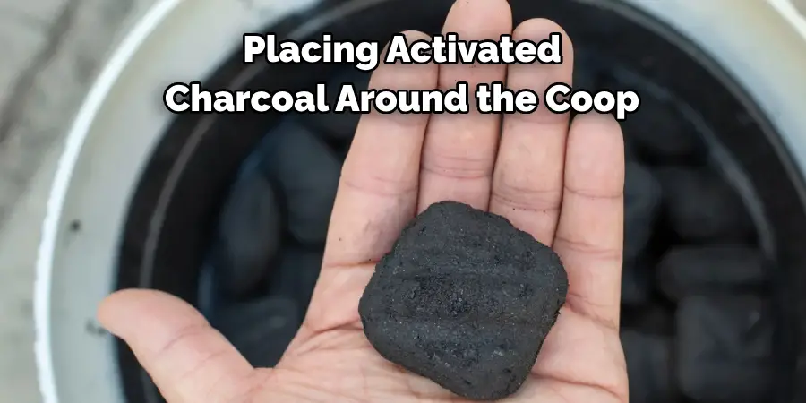 Placing Activated Charcoal Around the Coop