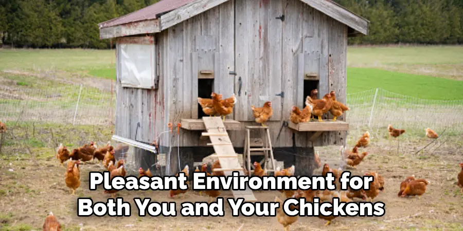 Pleasant Environment for Both You and Your Chickens