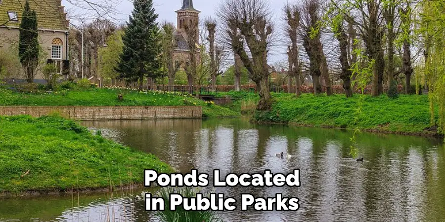 Ponds Located in Public Parks