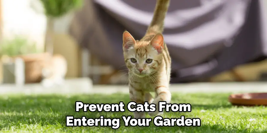 Prevent Cats From Entering Your Garden