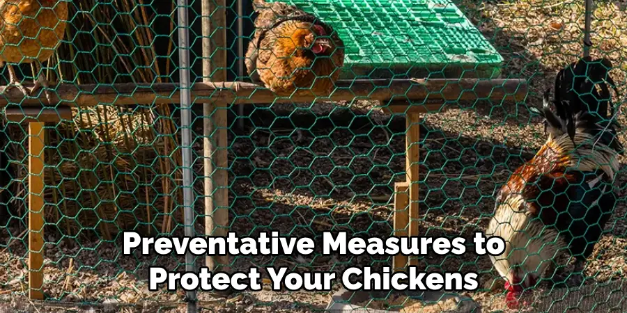 Preventative Measures to Protect Your Chickens