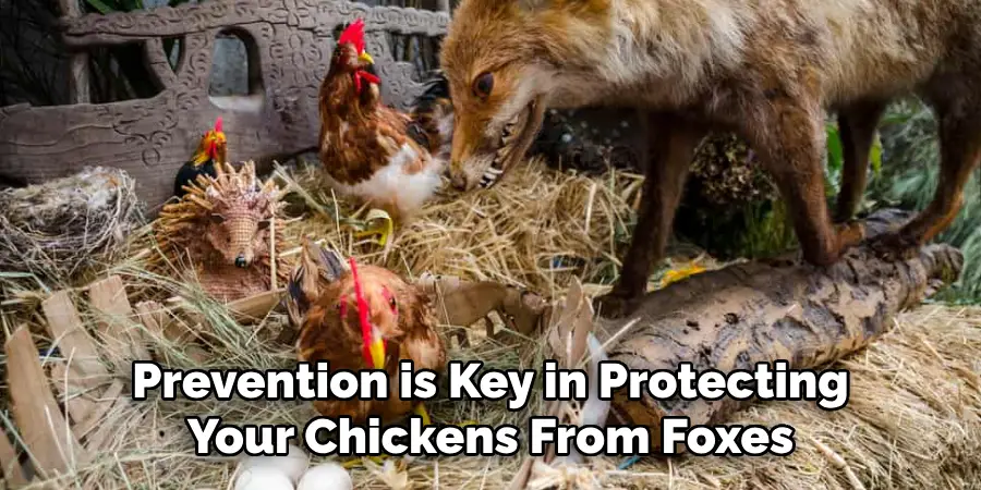Prevention is Key in Protecting Your Chickens From Foxes