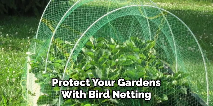 Protect Your Gardens With Bird Netting