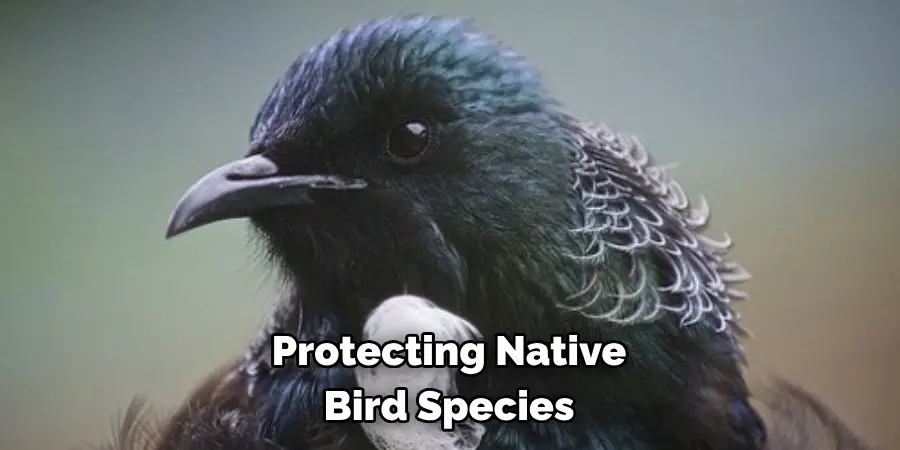 Protecting Native Bird Species