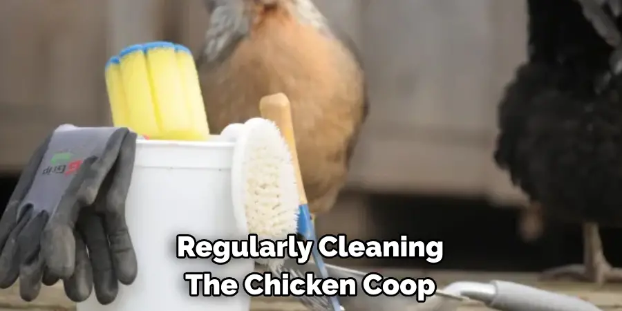 Regularly Cleaning The Chicken Coop