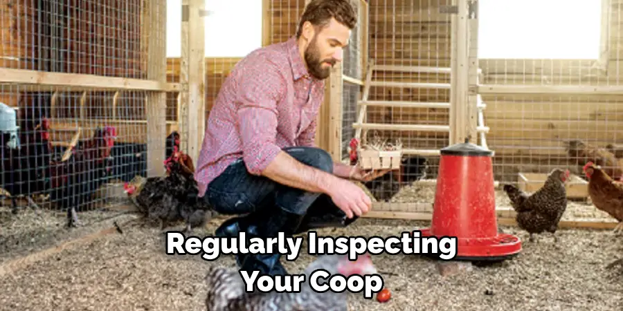 Regularly Inspecting Your Coop