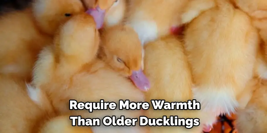 Require More Warmth Than Older Ducklings