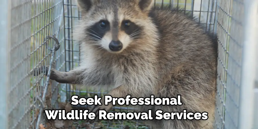 Seek Professional Wildlife Removal Services