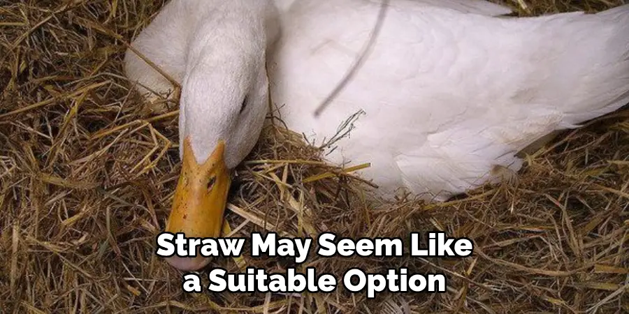 Straw May Seem Like a Suitable Option