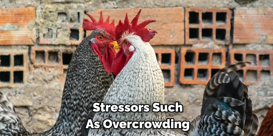 Stressors Such As Overcrowding