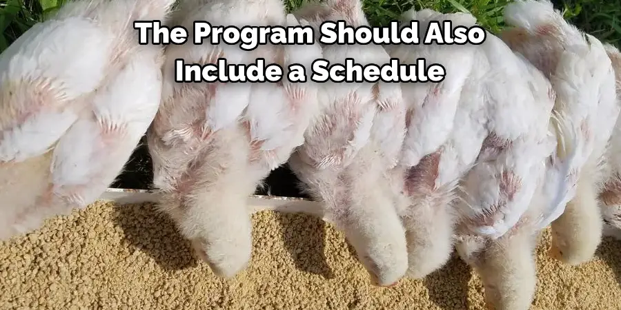 The Program Should Also Include a Schedule