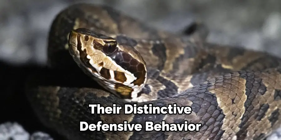 Their Distinctive Defensive Behavior