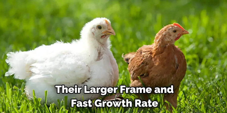Their Larger Frame and Fast Growth Rate