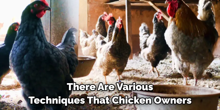 There Are Various Techniques That Chicken Owners