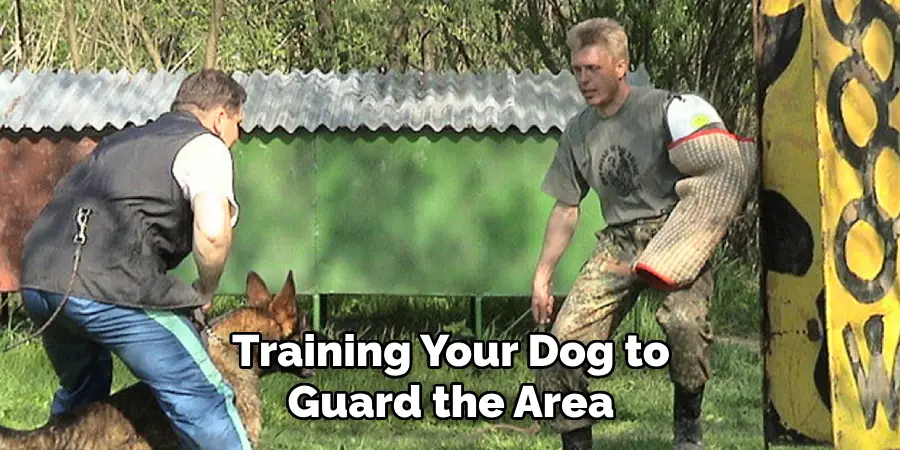 Training Your Dog to Guard the Area