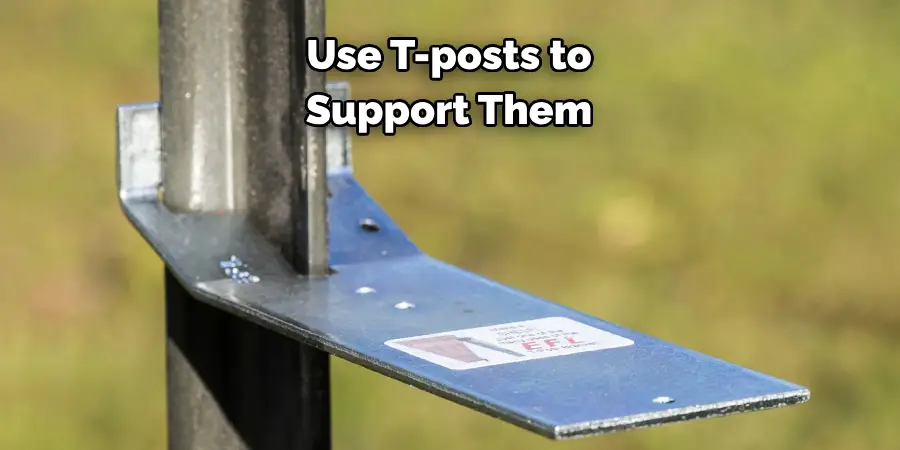 Use T-posts to Support Them