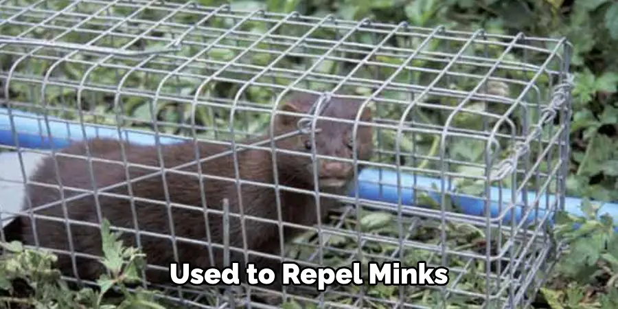 Used to Repel Minks
