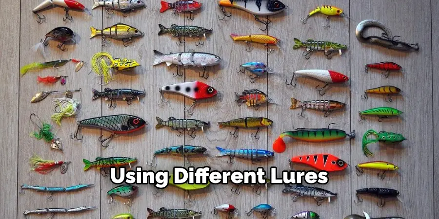 Using Different Lures