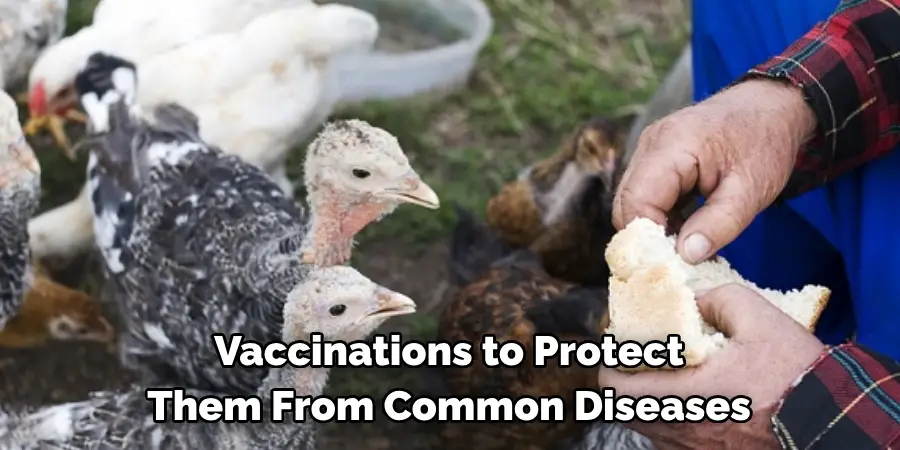 Vaccinations to Protect Them From Common Diseases