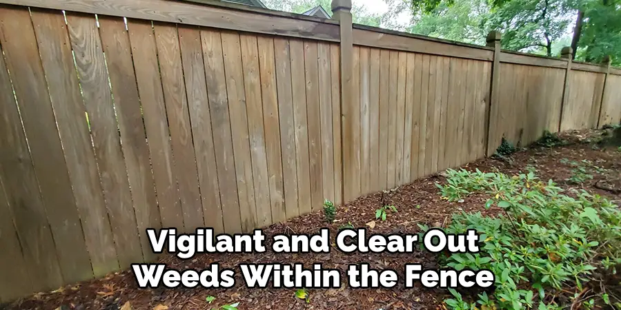Vigilant and Clear Out Weeds Within the Fence