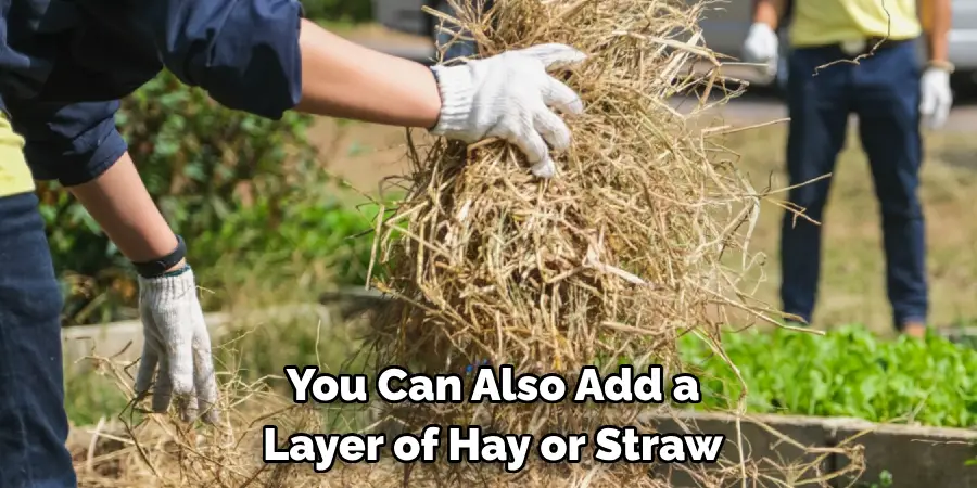 You Can Also Add a Layer of Hay or Straw
