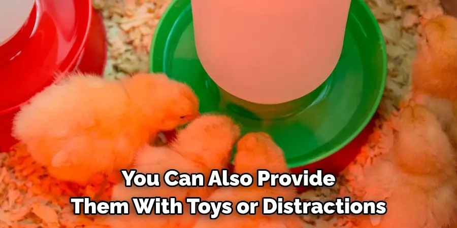 You Can Also Provide Them With Toys or Distractions