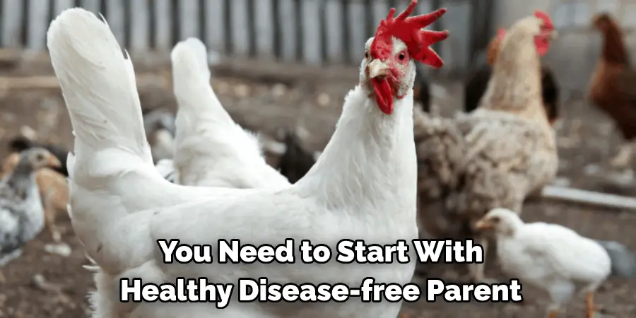 You Need to Start With Healthy Disease-free Parent