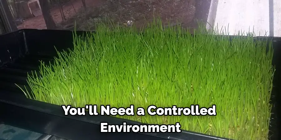 You'll Need a Controlled Environment