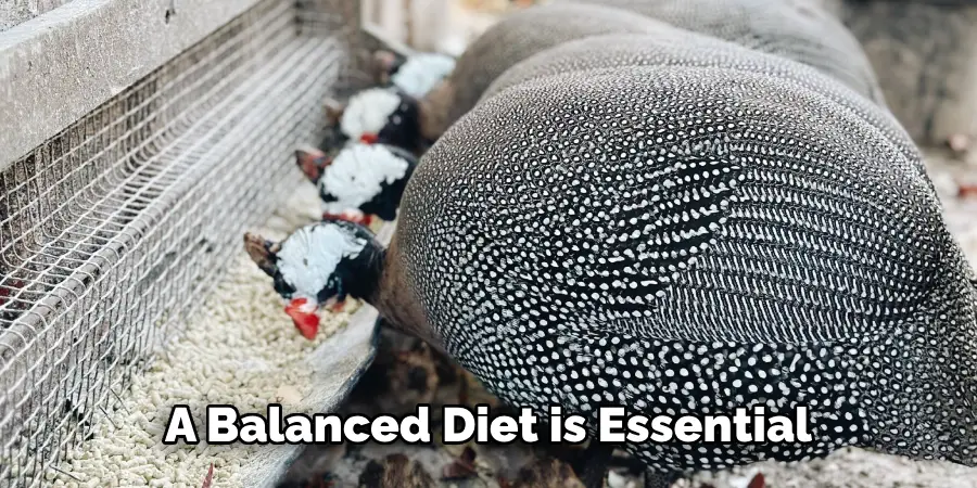 A Balanced Diet is Essential