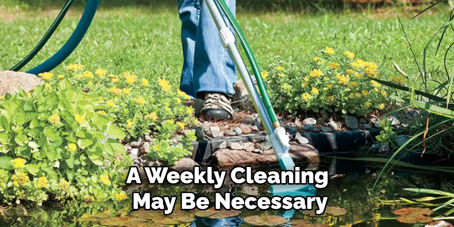 A Weekly Cleaning May Be Necessary