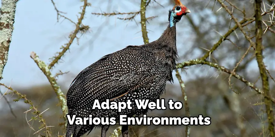Adapt Well to Various Environments
